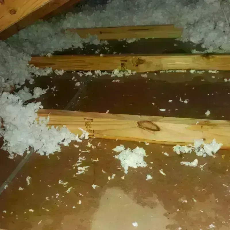 Attic Water Damage in Loogootee, IN